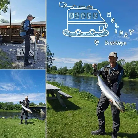 Brekkoya * Surnadal