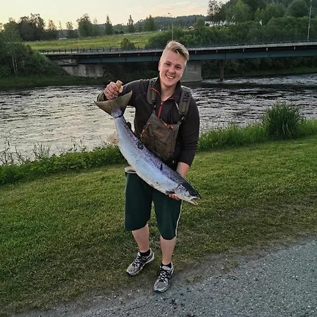 Jaktstuga Surnadal Brekkoya